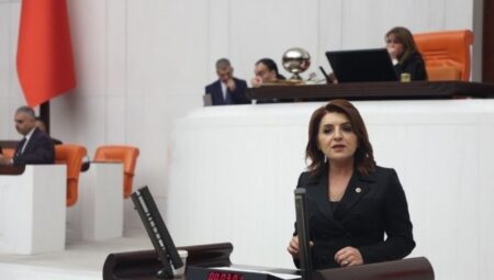 CHP’li Gülcan Kış, TBMM’de Köy Kanunu Teklifini eleştirdi: ‘Halkın iradesine darbe vuruluyor’