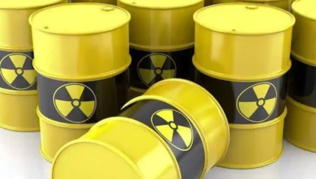 Neden Profesyonel Bertaraf